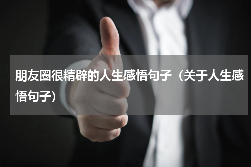 朋友圈很精辟的人生感悟句子（关于人生感悟句子）