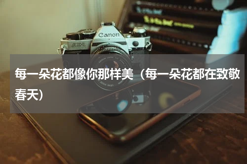 每一朵花都像你那样美（每一朵花都在致敬春天）