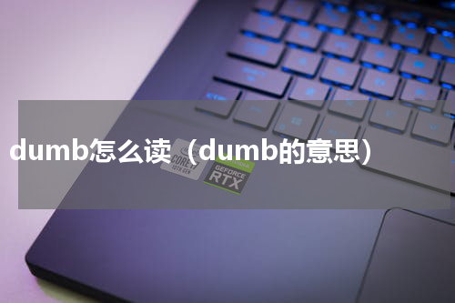 dumb怎么读（dumb的意思）