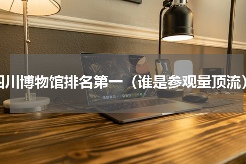 四川博物馆排名第一（谁是参观量顶流）