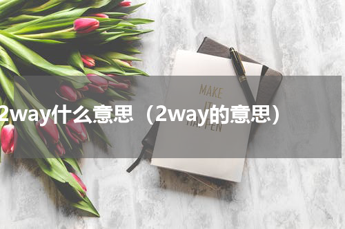 2way什么意思（2way的意思）