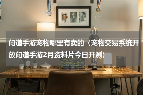 问道手游宠物哪里有卖的（宠物交易系统开放问道手游2月资料片今日开测）