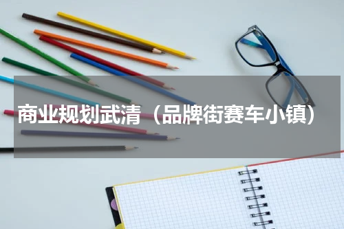 商业规划武清（品牌街赛车小镇）