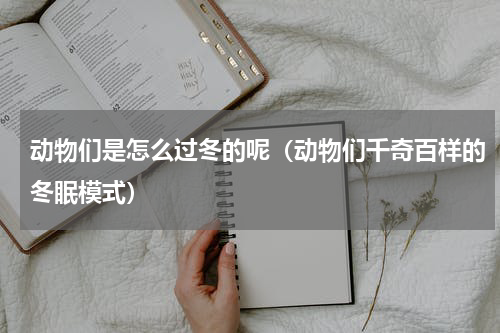 动物们是怎么过冬的呢（动物们千奇百样的冬眠模式）