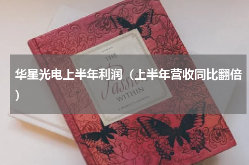 华星光电上半年利润（上半年营收同比翻倍）