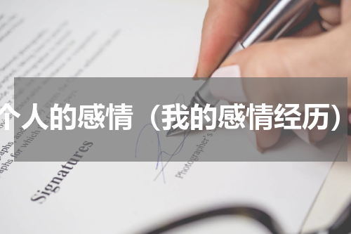 个人的感情（我的感情经历）