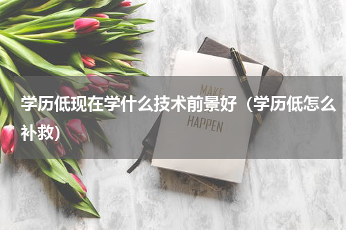 学历低现在学什么技术前景好（学历低怎么补救）