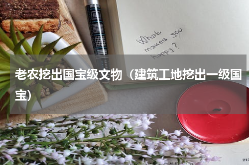 老农挖出国宝级文物（建筑工地挖出一级国宝）