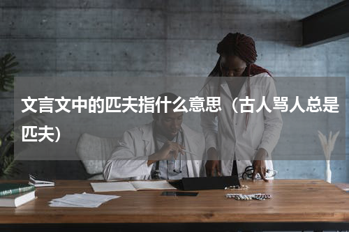 文言文中的匹夫指什么意思（古人骂人总是匹夫）