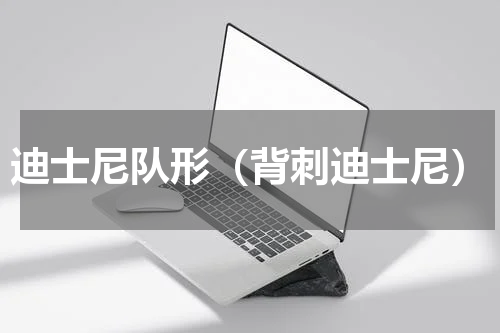 迪士尼队形（背刺迪士尼）