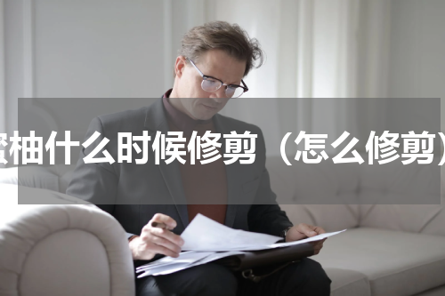 蜜柚什么时候修剪（怎么修剪）