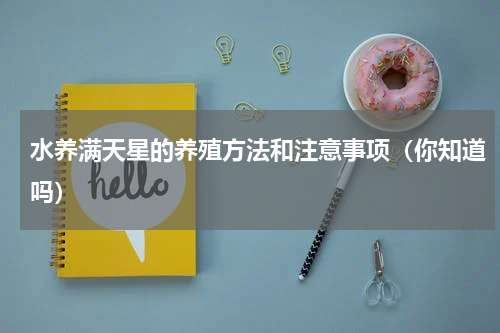 水养满天星的养殖方法和注意事项（你知道吗）