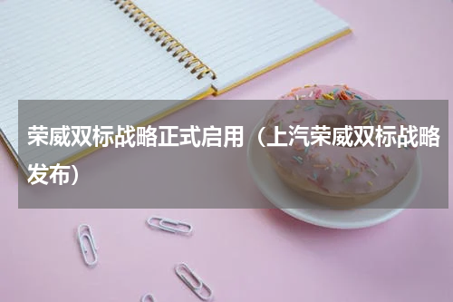 荣威双标战略正式启用（上汽荣威双标战略发布）