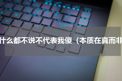 我什么都不说不代表我傻（本质在真而非）