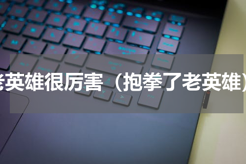 老英雄很厉害（抱拳了老英雄）