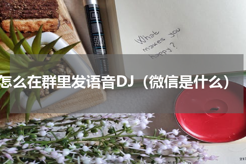 怎么在群里发语音DJ（微信是什么）