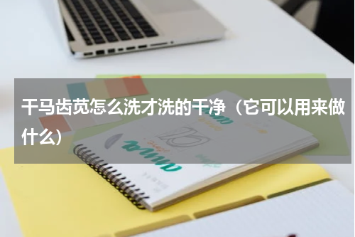 干马齿苋怎么洗才洗的干净（它可以用来做什么）