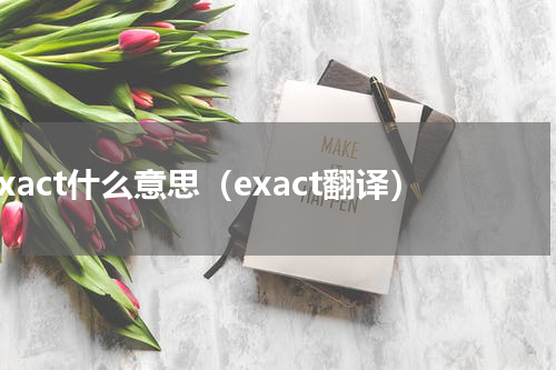 exact什么意思（exact翻译）