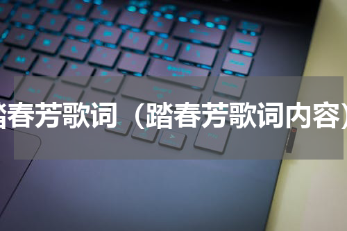 踏春芳歌词（踏春芳歌词内容）