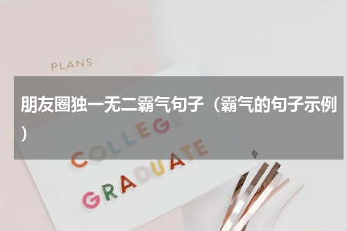 朋友圈独一无二霸气句子（霸气的句子示例）