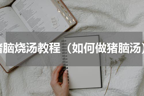 猪脑烧汤教程（如何做猪脑汤）