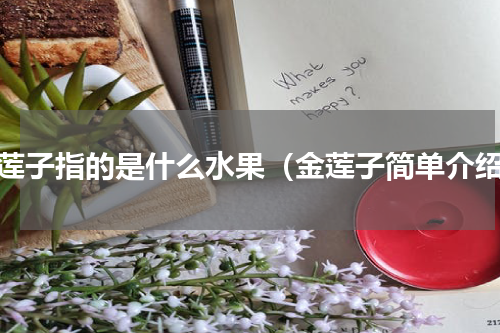 金莲子指的是什么水果（金莲子简单介绍）