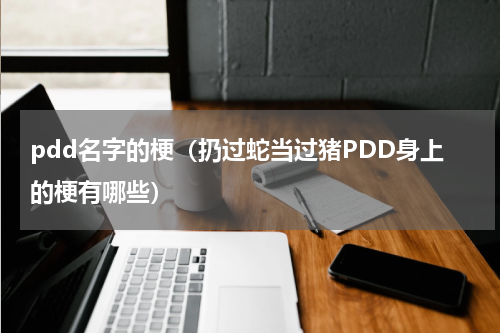 pdd名字的梗（扔过蛇当过猪PDD身上的梗有哪些）