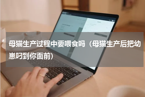 母猫生产过程中要喂食吗（母猫生产后把幼崽叼到你面前）