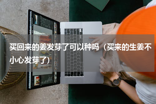 买回来的姜发芽了可以种吗（买来的生姜不小心发芽了）