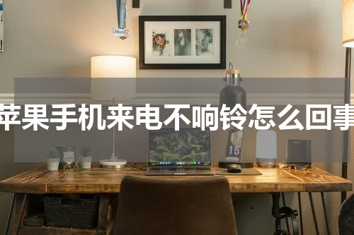 苹果手机来电不响铃怎么回事