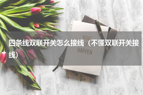 四条线双联开关怎么接线（不懂双联开关接线）