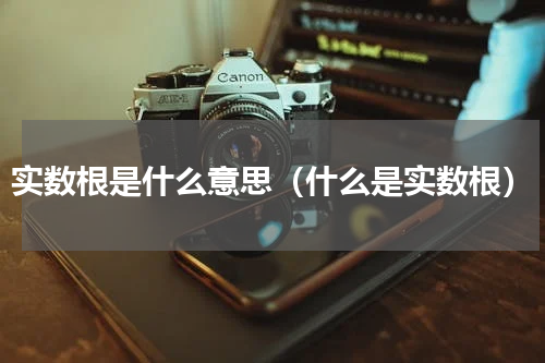 实数根是什么意思（什么是实数根）