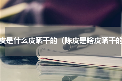陈皮是什么皮晒干的（陈皮是啥皮晒干的）