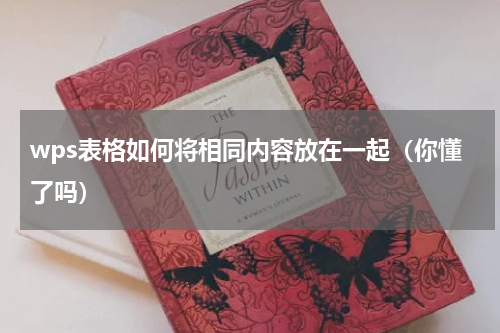 wps表格如何将相同内容放在一起（你懂了吗）