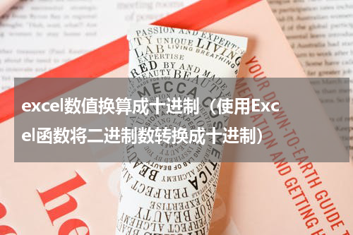 excel数值换算成十进制（使用Excel函数将二进制数转换成十进制）