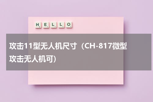 攻击11型无人机尺寸（CH-817微型攻击无人机可）