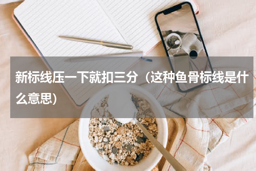 新标线压一下就扣三分（这种鱼骨标线是什么意思）