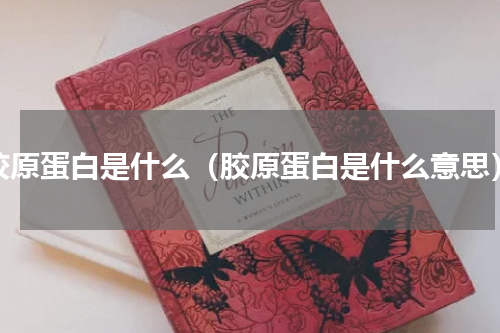 胶原蛋白是什么（胶原蛋白是什么意思）