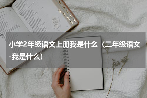小学2年级语文上册我是什么（二年级语文-我是什么）