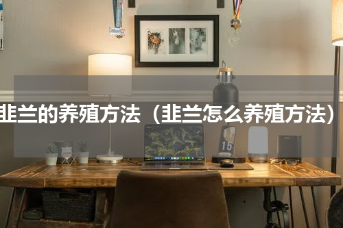 韭兰的养殖方法（韭兰怎么养殖方法）