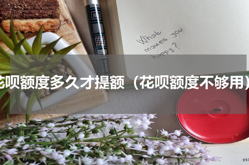 花呗额度多久才提额（花呗额度不够用）