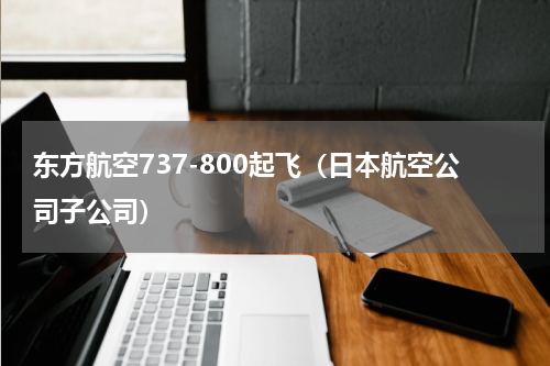 东方航空737-800起飞（日本航空公司子公司）