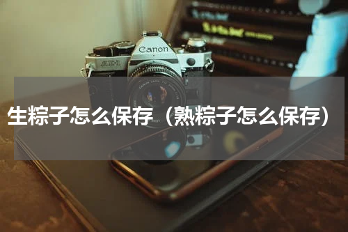 生粽子怎么保存（熟粽子怎么保存）