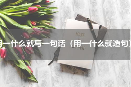 用一什么就写一句话（用一什么就造句）