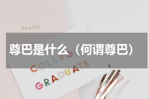 尊巴是什么（何谓尊巴）