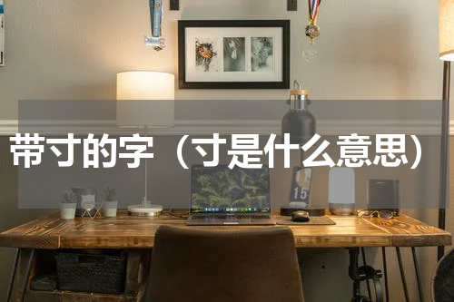 带寸的字（寸是什么意思）