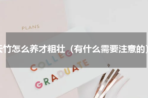 云竹怎么养才粗壮（有什么需要注意的）