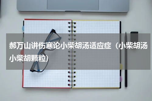郝万山讲伤寒论小柴胡汤适应症（小柴胡汤小柴胡颗粒）