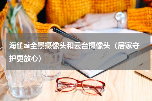 海雀ai全景摄像头和云台摄像头（居家守护更放心）