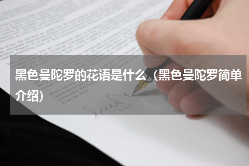 黑色曼陀罗的花语是什么（黑色曼陀罗简单介绍）